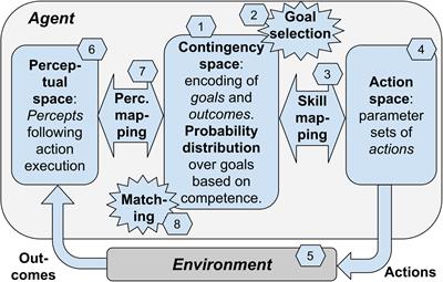 Sensorimotor tests of top infant development